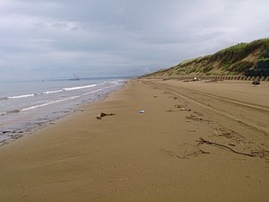 DSC_0890.jpg