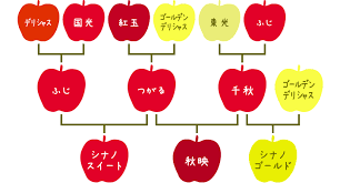 りんご3兄弟.png