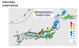 予想降雪量.png