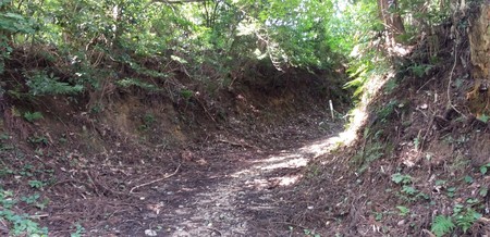 IMG_20200920_133438.jpg