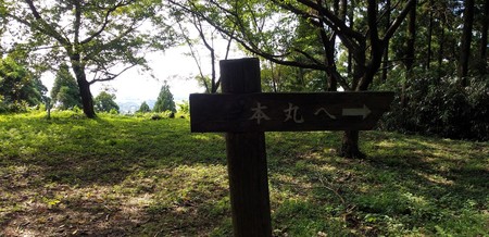 IMG_20200920_133748.jpg