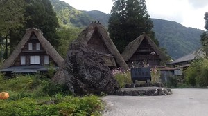 IMG_20201006_131119.jpg