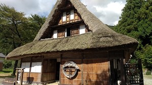 IMG_20201006_134643.jpg