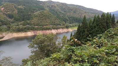 IMG_20201017_144813.jpg
