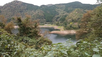 IMG_20201017_145048.jpg