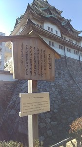 IMG_20220108_101517.jpg