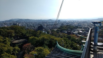 IMG_20221103_093452.jpg