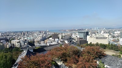 IMG_20221103_093531.jpg