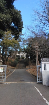 IMG_20250211_083910.jpg