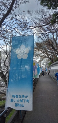 IMG_20250406_115710.jpg