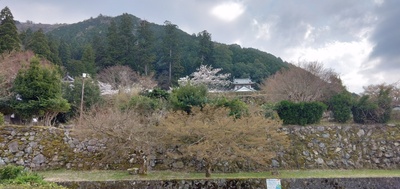 IMG_20250406_144108.jpg