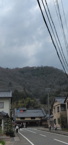 IMG_20250406_153202.jpg