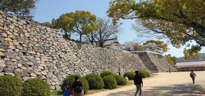 IMG_20250407_103858.jpg