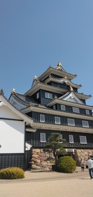 IMG_20250407_104405.jpg