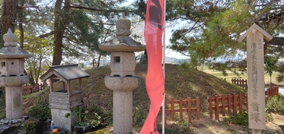 IMG_20250407_121752.jpg