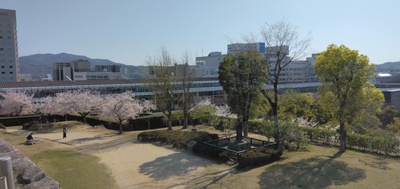 IMG_20250407_152207.jpg