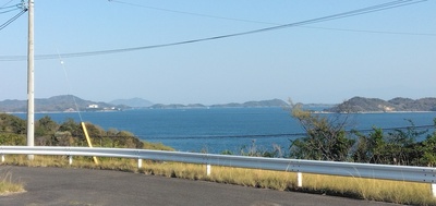 IMG_20250407_162843.jpg