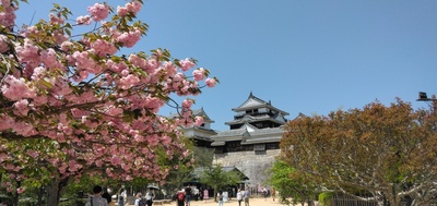 IMG_20250419_125454.jpg