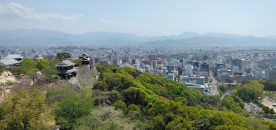 IMG_20250419_130815.jpg