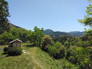 IMG_20250427_120553.jpg
