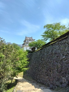 IMG_20250427_140454.jpg