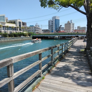IMG_20250504_104914.jpg