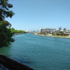 IMG_20250504_105027.jpg